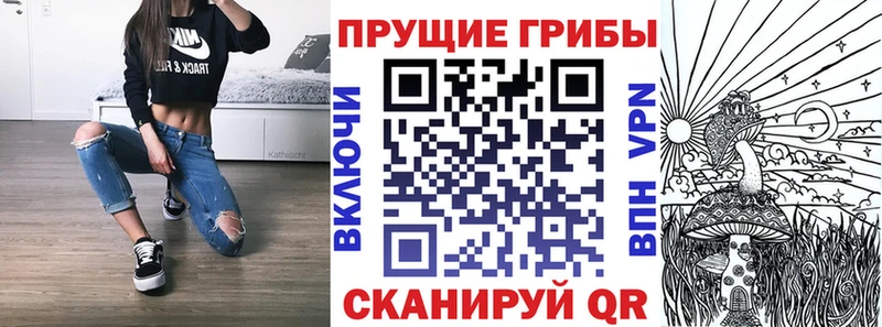 продажа наркотиков  Электроугли  Галлюциногенные грибы MAGIC MUSHROOMS 